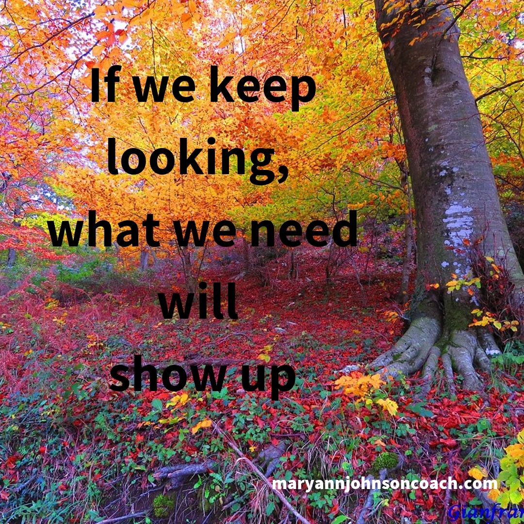 what-we-need-will-show-up-mary-ann-johnson