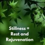 Stillness – Rest and Rejuvenation 2-23-25 BL